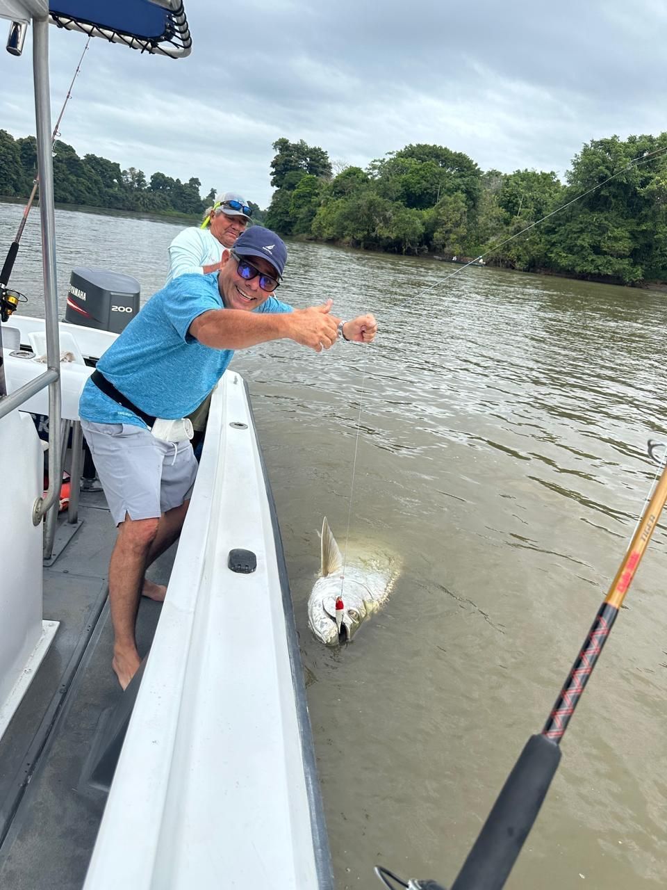 large tarpon