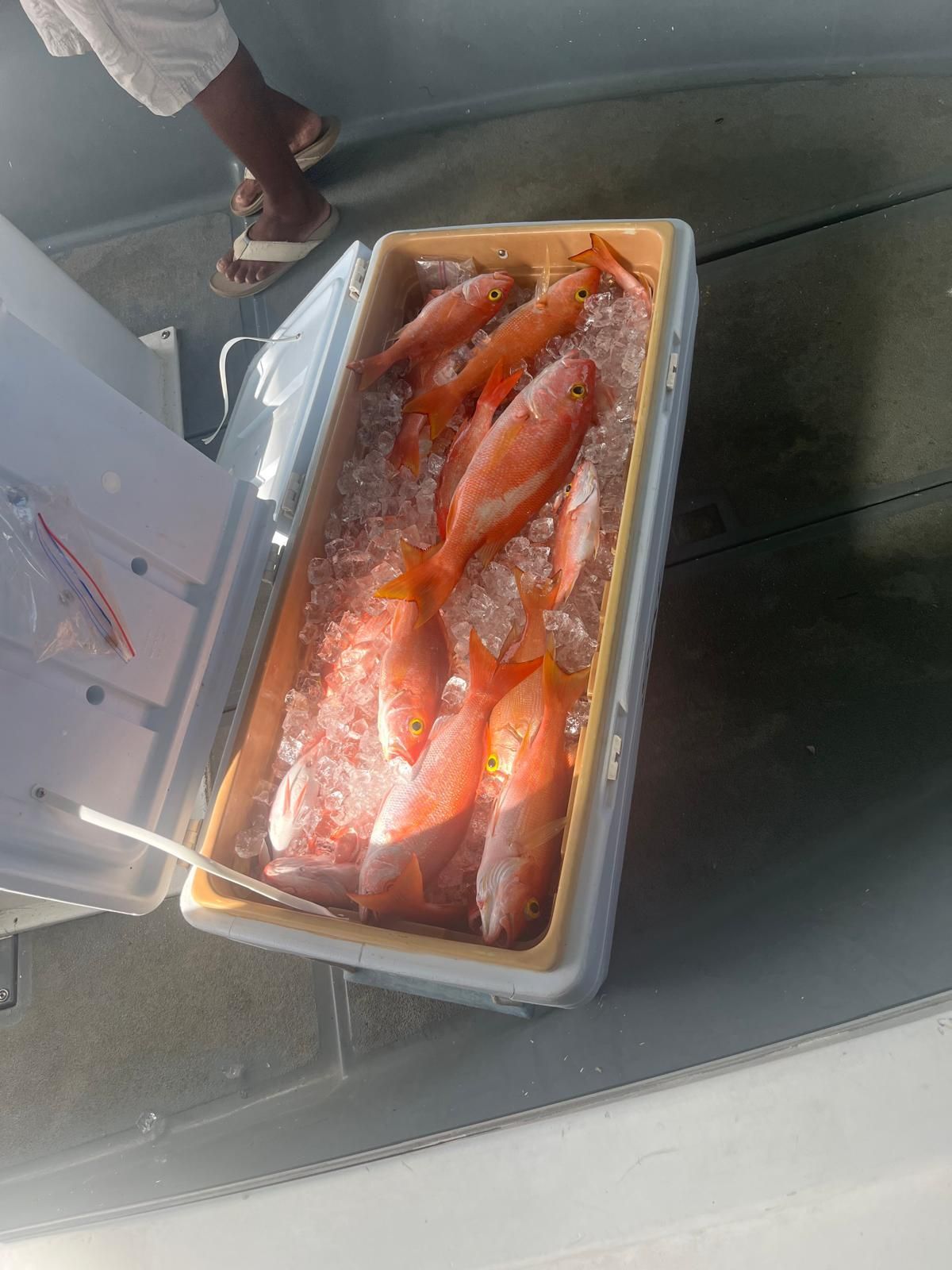 Redfish fishing