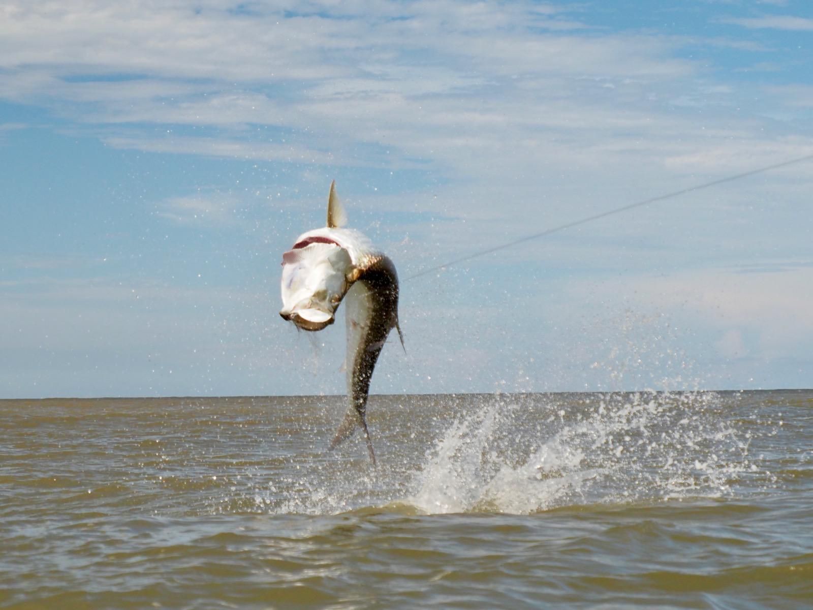 Large all-inclusive fishing resort