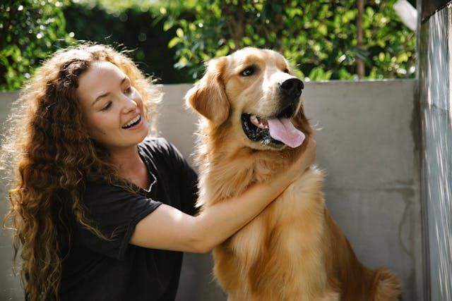 A person petting a dog