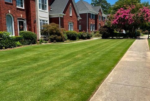 Lawn Care Flowery Branch