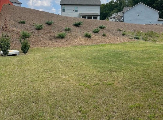 Pine Straw Flowery Branch