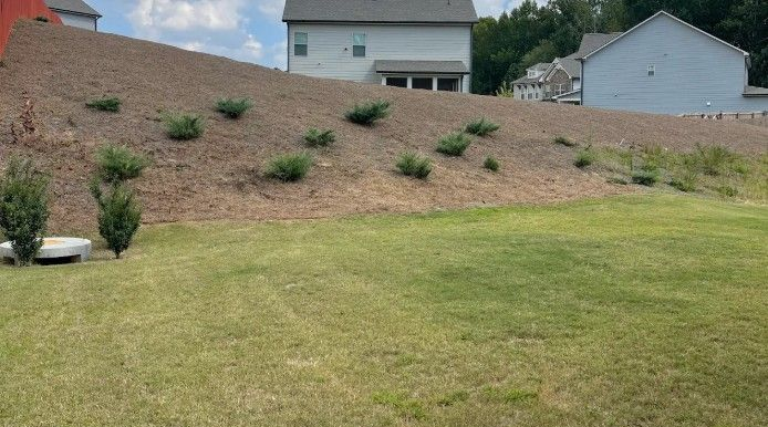 Pine Straw Installation