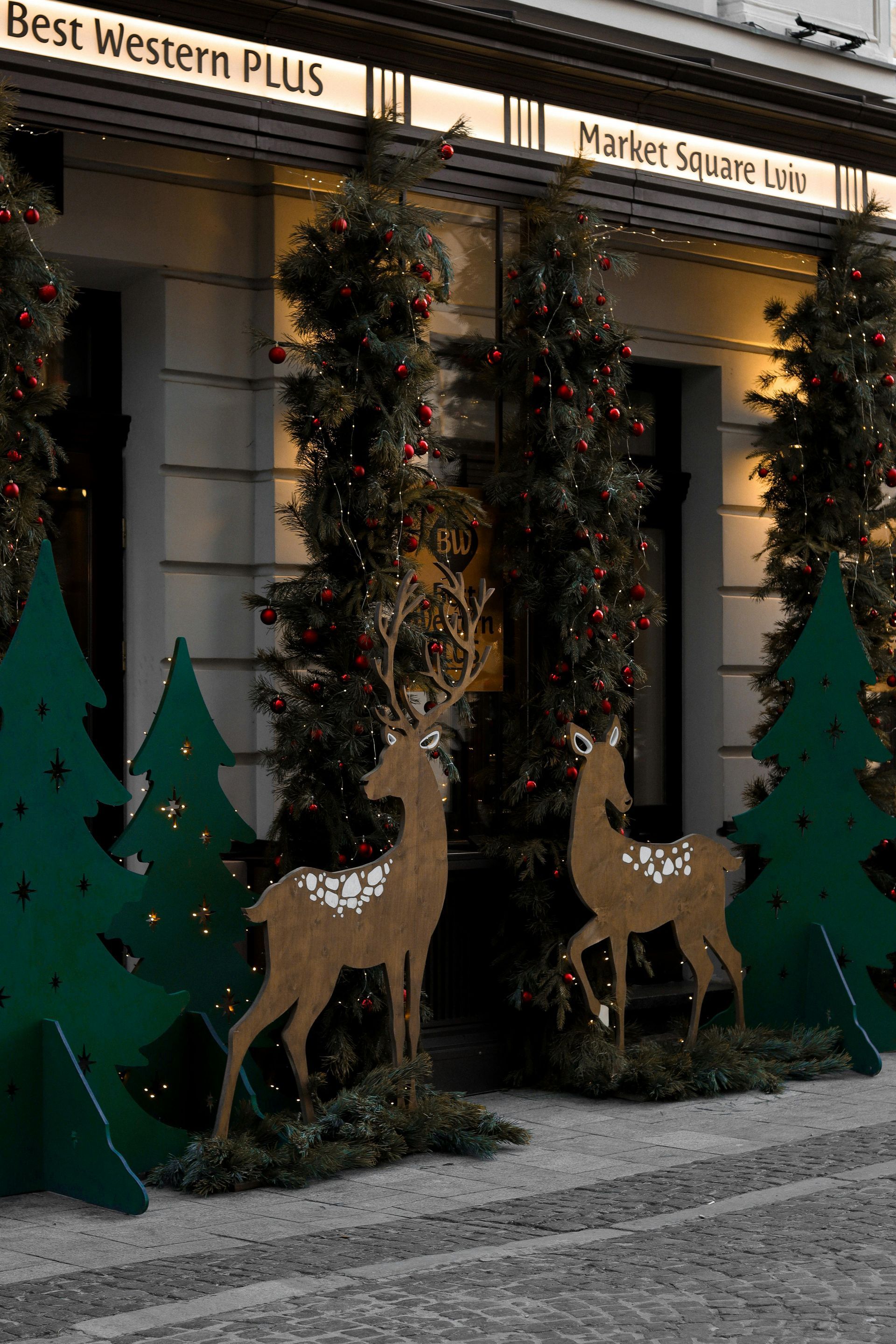 Holiday Lights & Deco Experts