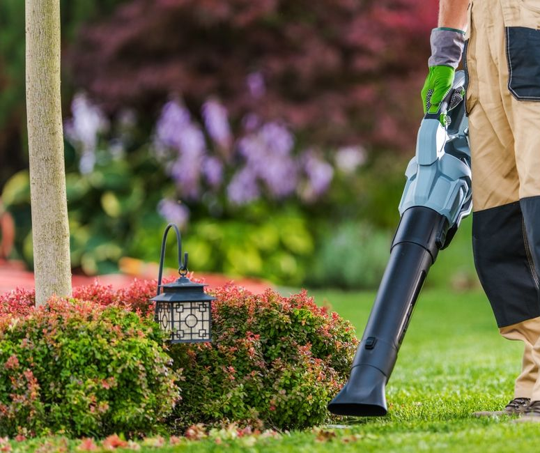 blowing leaves from flower beds