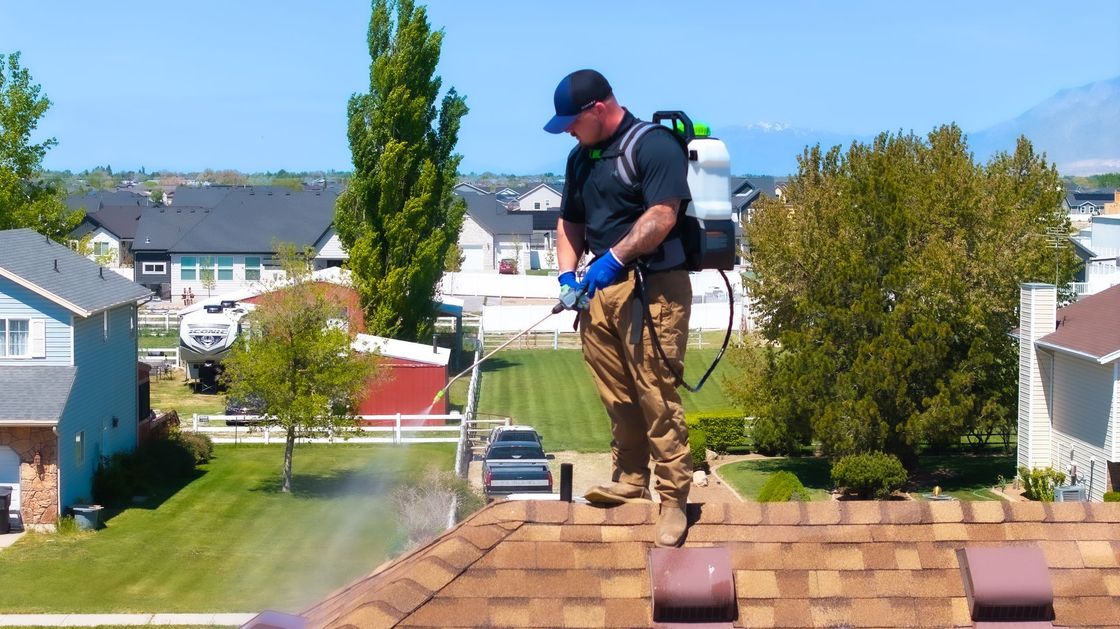 A man is spraying a roof with a backpack sprayer.