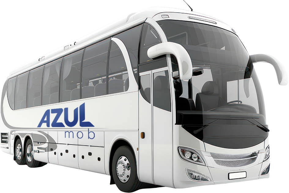 Ônibus Executivo Acessível