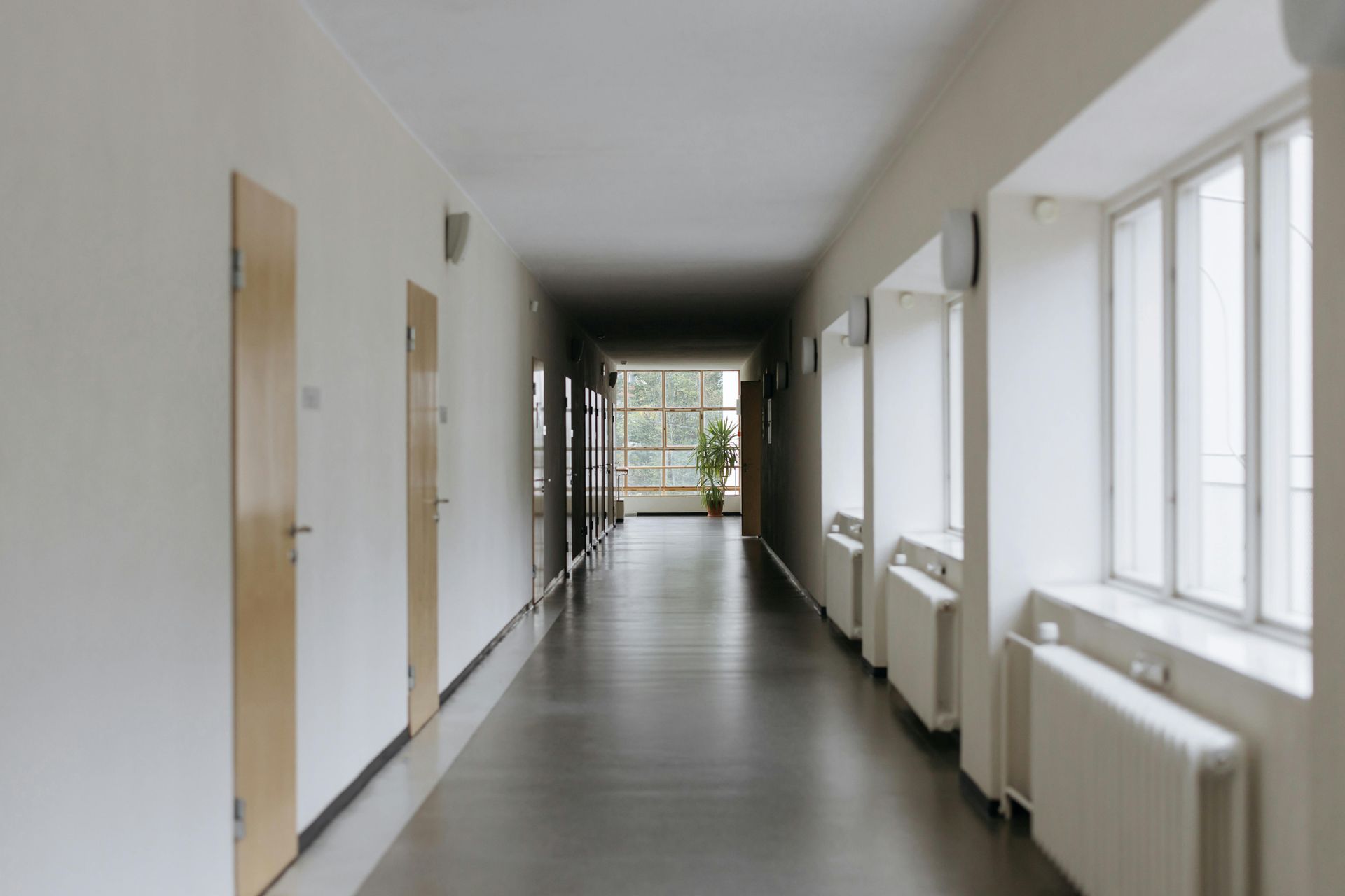 A long hallway with a lot of windows and doors in a building.