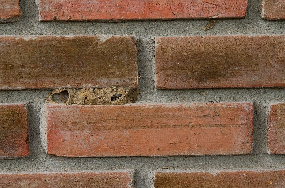 A Close Up of a Brick Wall With a Few Bricks Missing — Border Pest Control In Albury, NSW