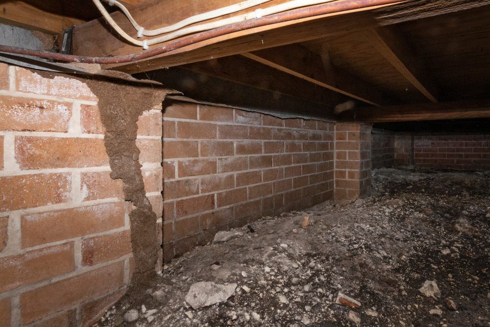 A Basement With a Brick Wall and a Wooden Floor — Border Pest Control In Albury, NSW