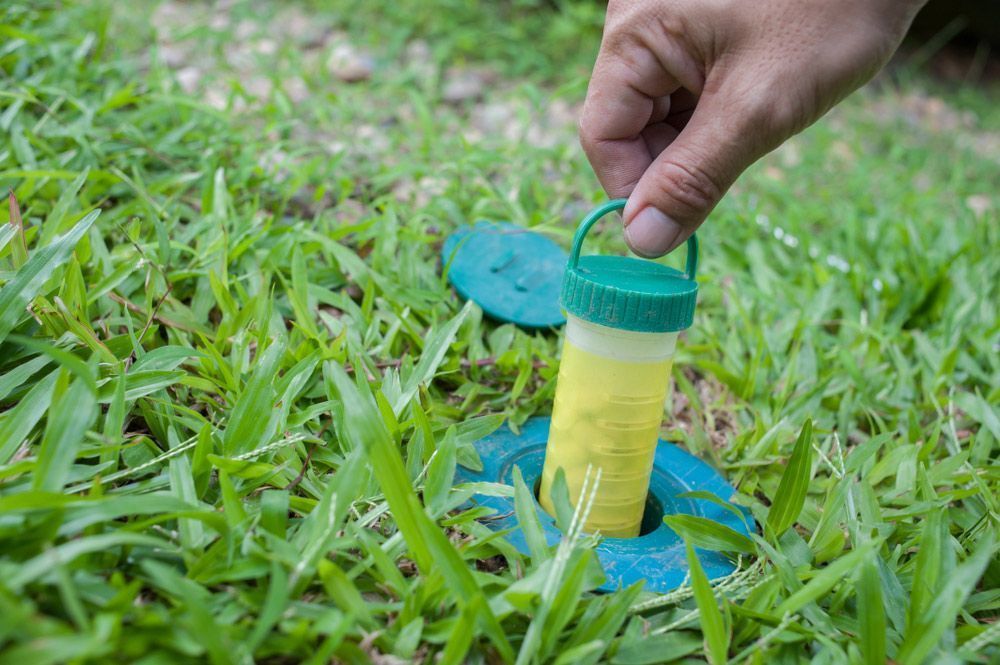A Person is Holding a Bottle of Insecticide in the Grass — Border Pest Control In Albury, NSW