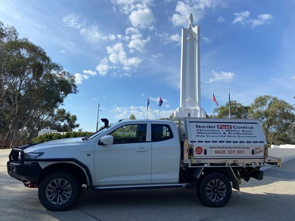A White Truck is Parked in Front of a Statue — Border Pest Control In Albury, NSW