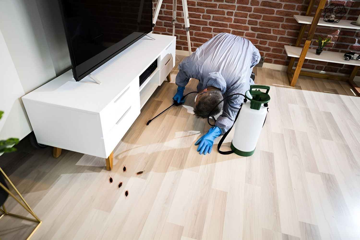 Pest Control Examinator Sprays Pesticide on a Living Room Floor