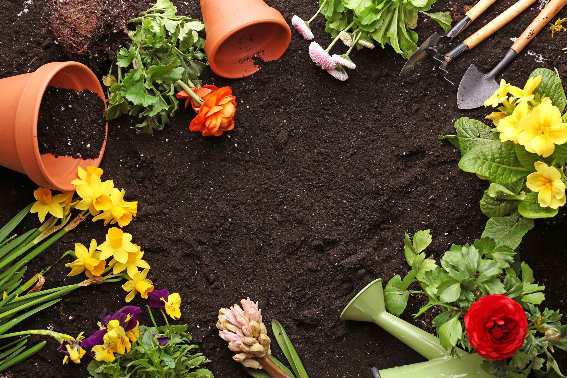 Gardening tools and flowers laid out in a circle on dirt
