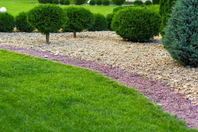 trimmed grass, mulch and rocks with shrubs in the background