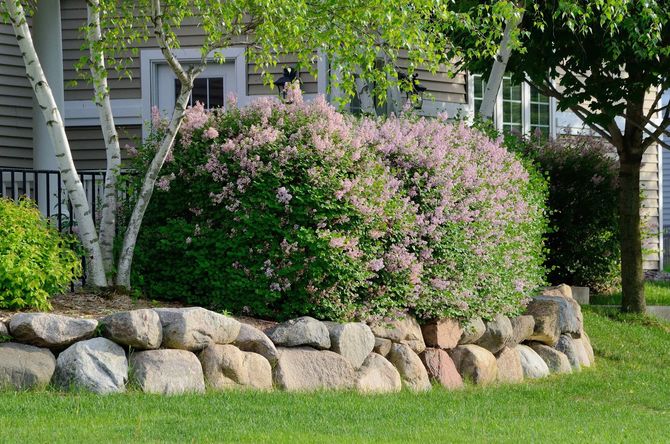 Natural stone retaining wall garden bed by Affordable Landscapes Carson City