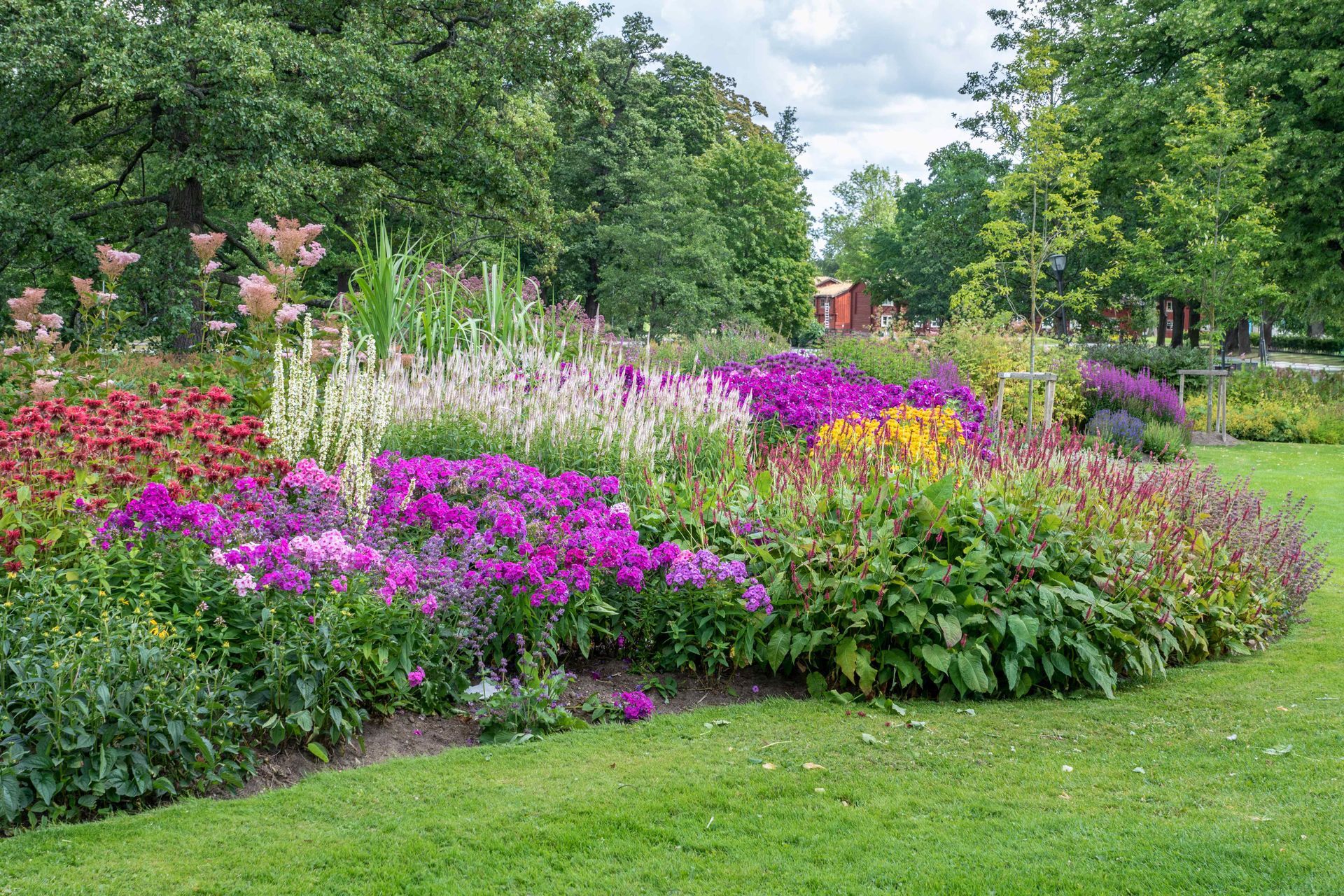 flower bed with multiple colored flowering plants and shrubs