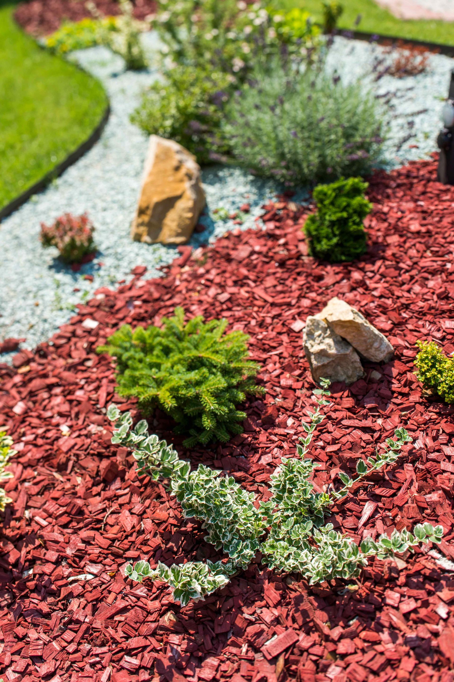 a compact garden bed with wood chip mulch around shrubs