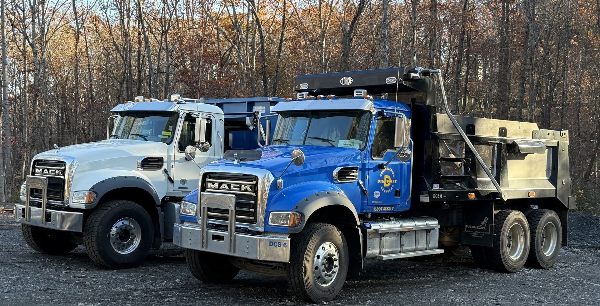 Two heavy-duty dump trucks, one white, one blue, parked outdoors with a tree background.