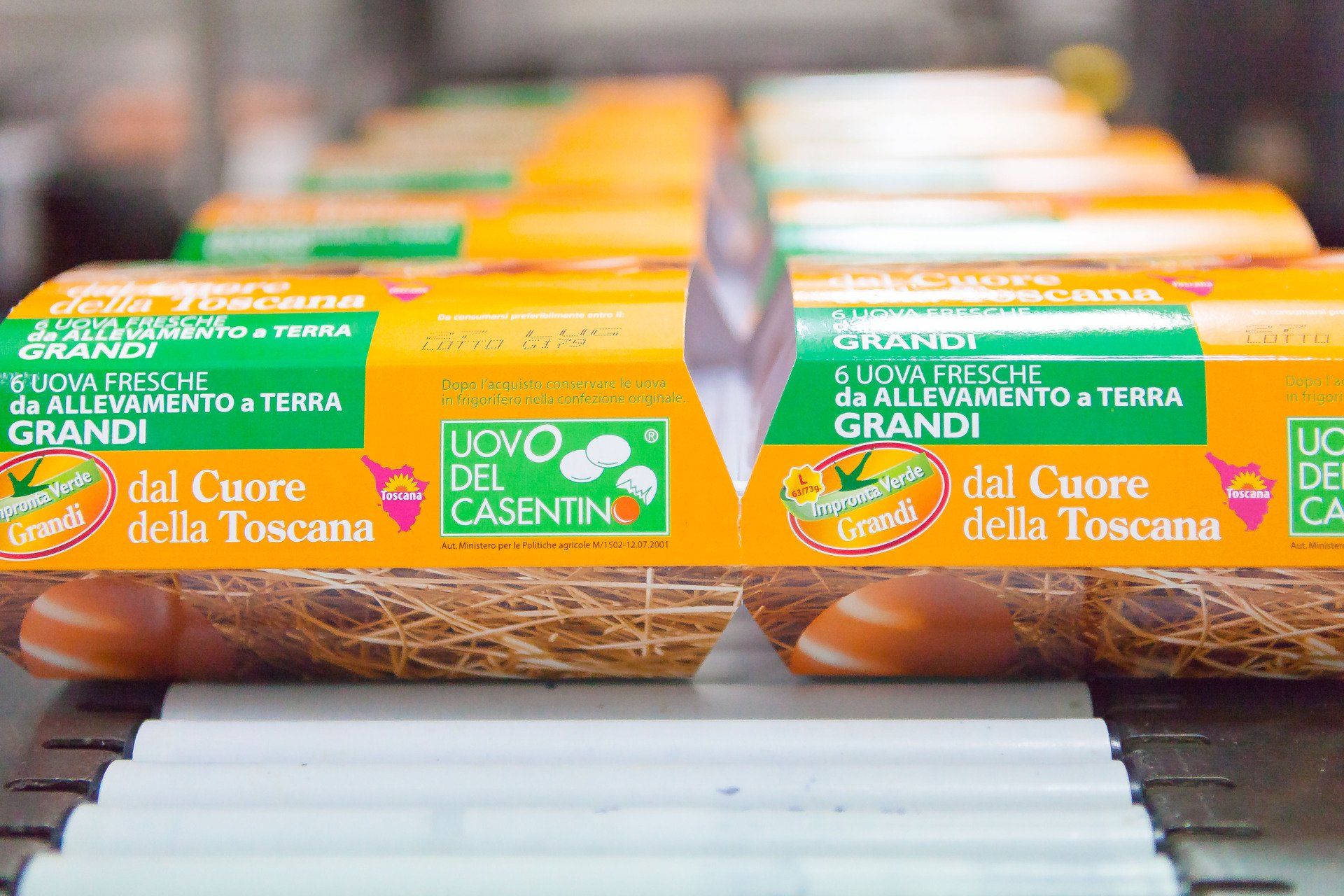 uovo del casentino 3