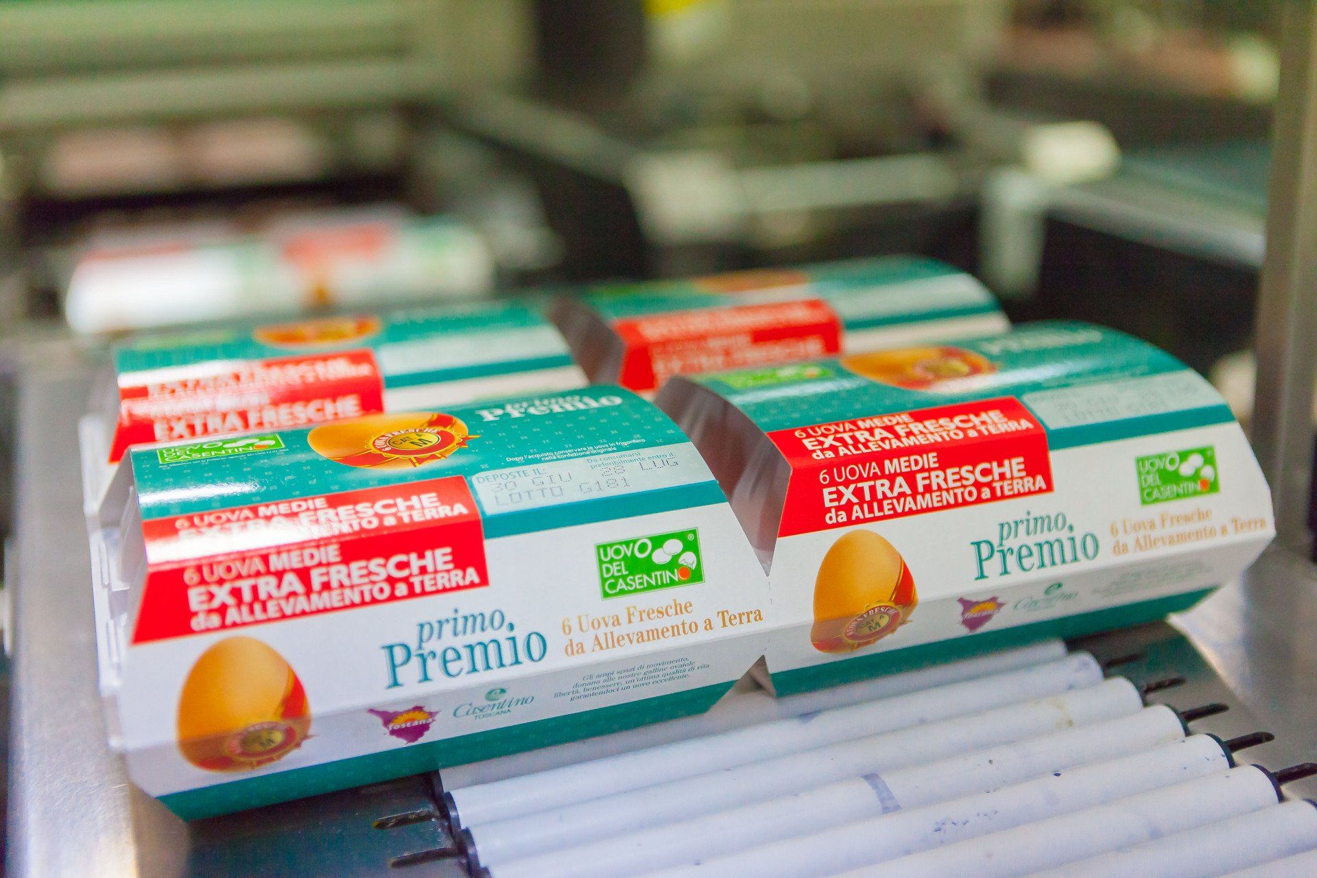 uovo del casentino 1