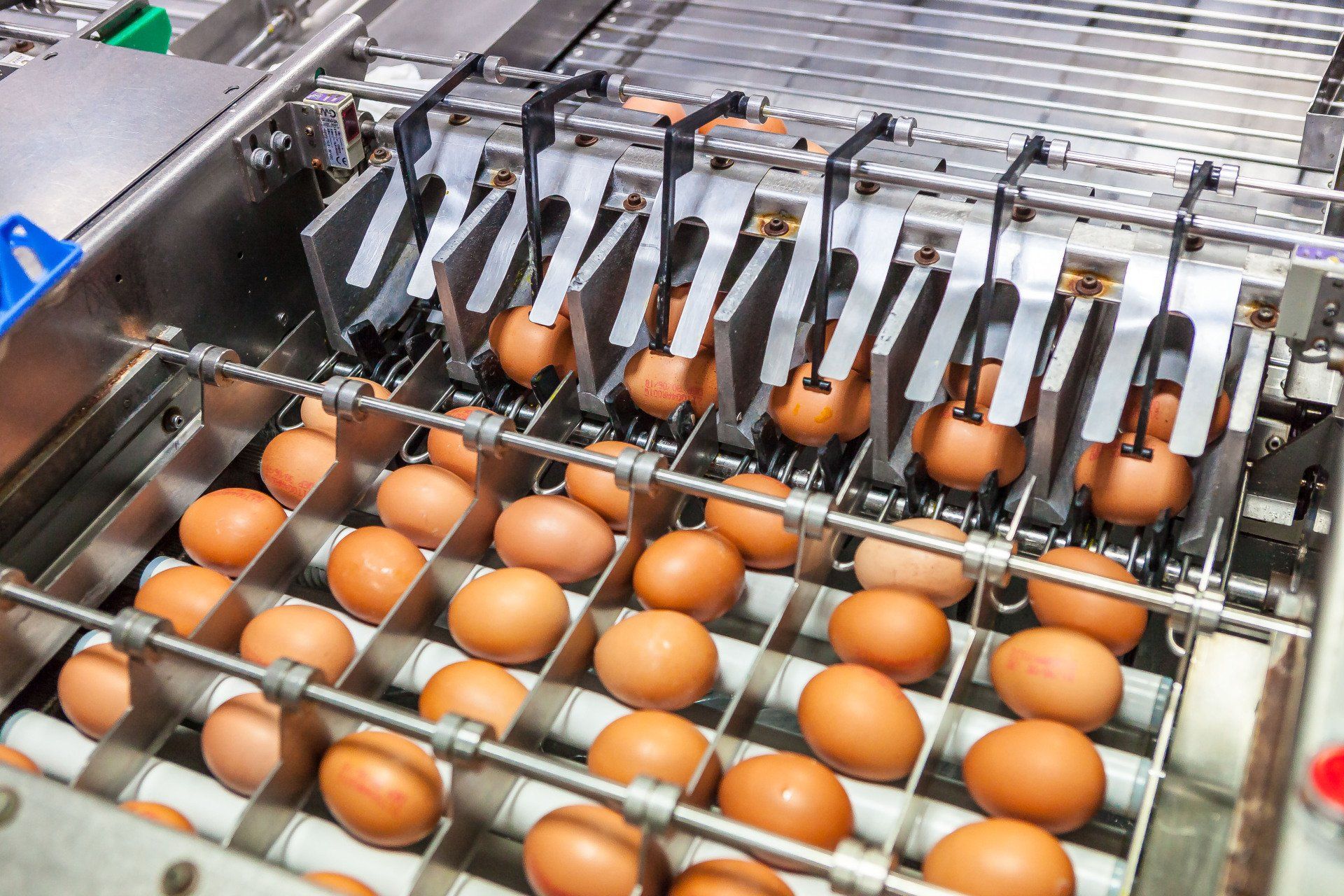 stabilimento le pescine 10