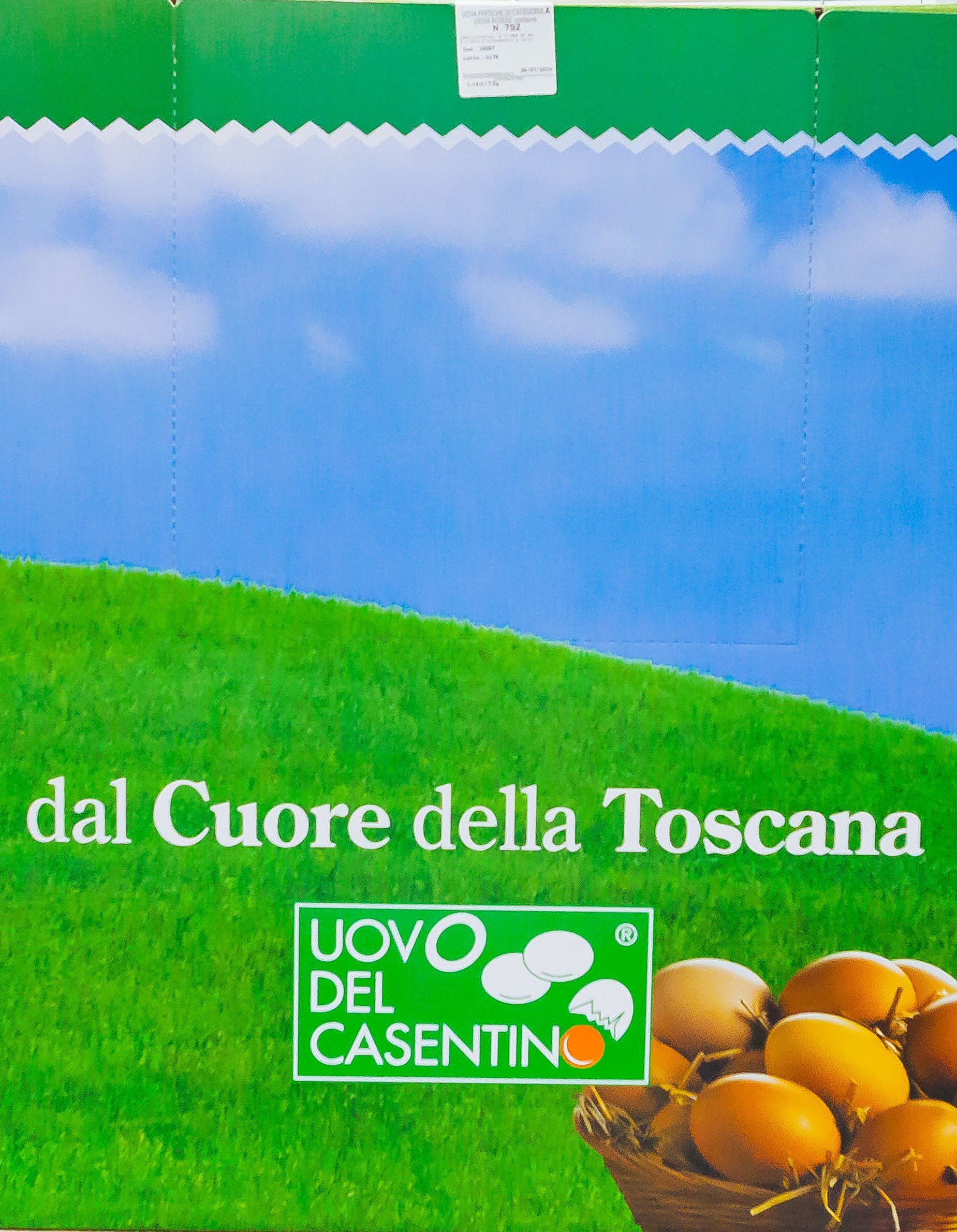 allevamento all'aperto 1