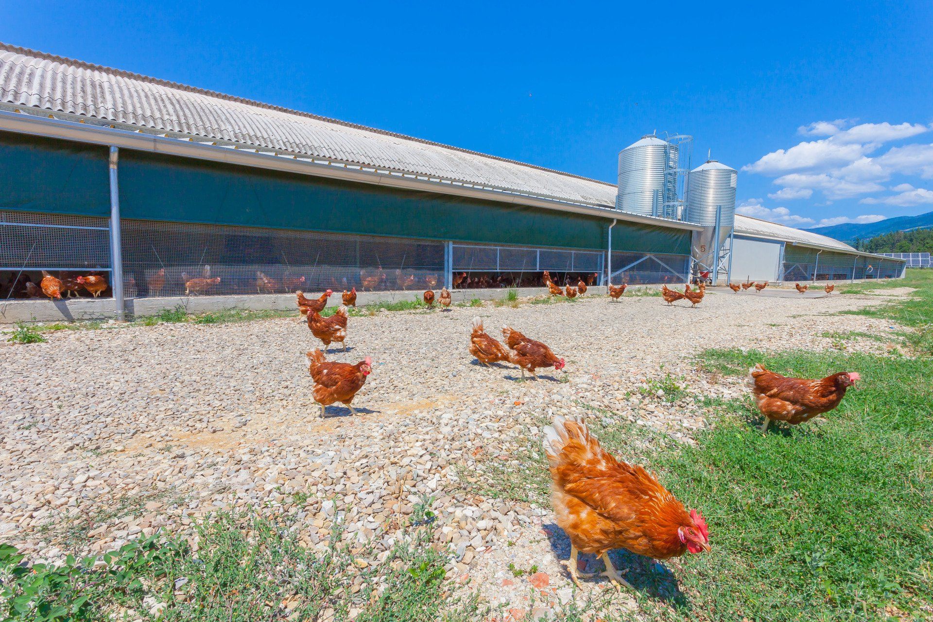 stabilimento le pescine 7