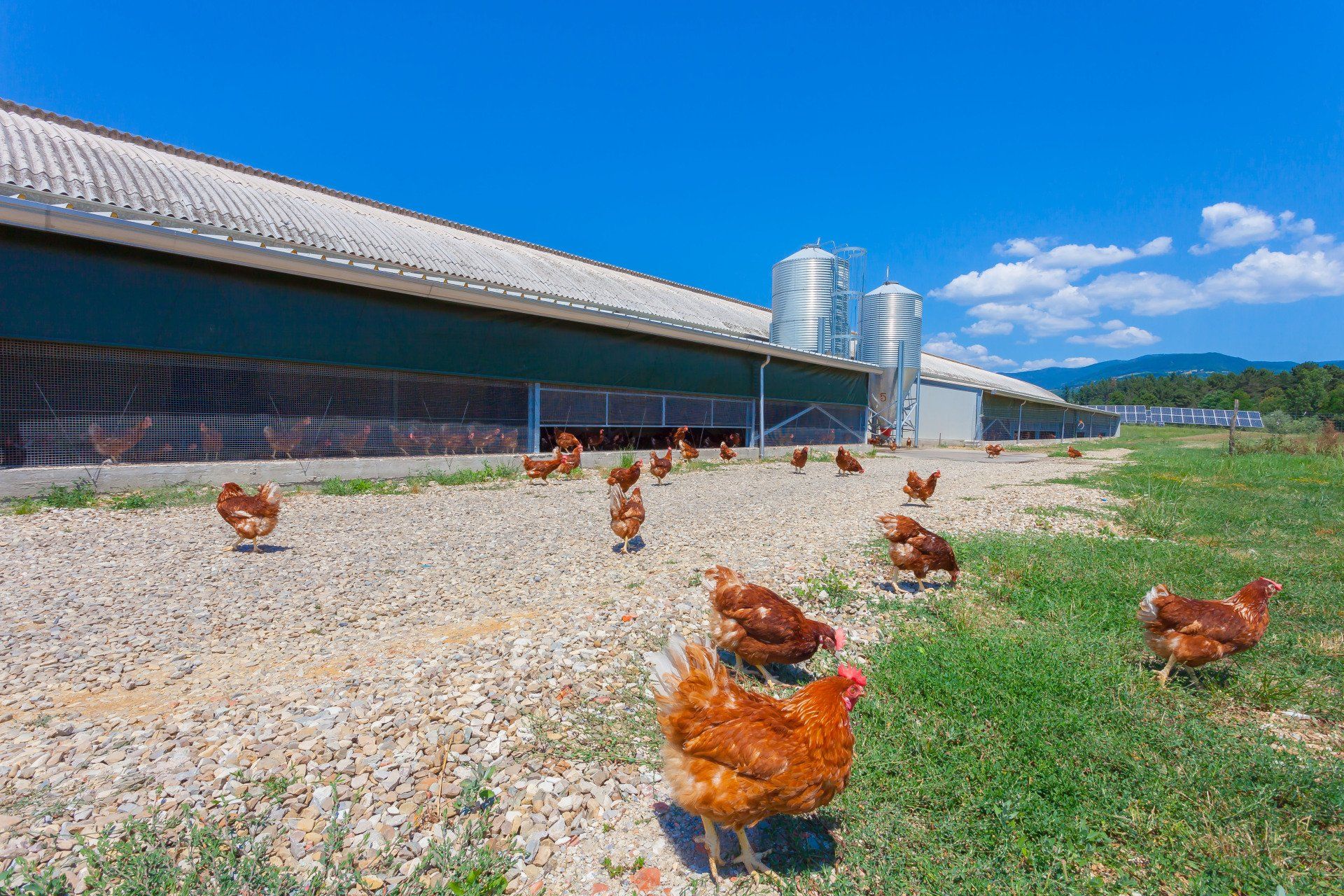 stabilimento le pescine 9