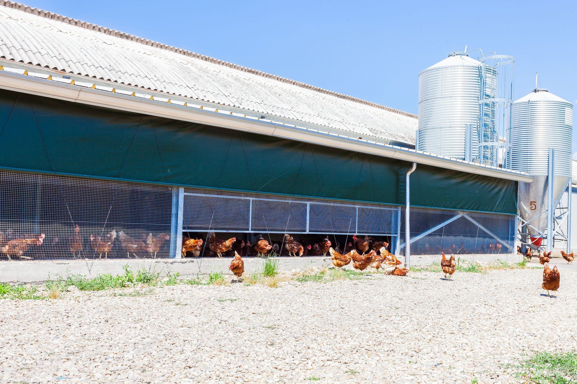 stabilimento le pescine 8