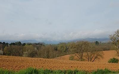 azienda agricola le pescine 3