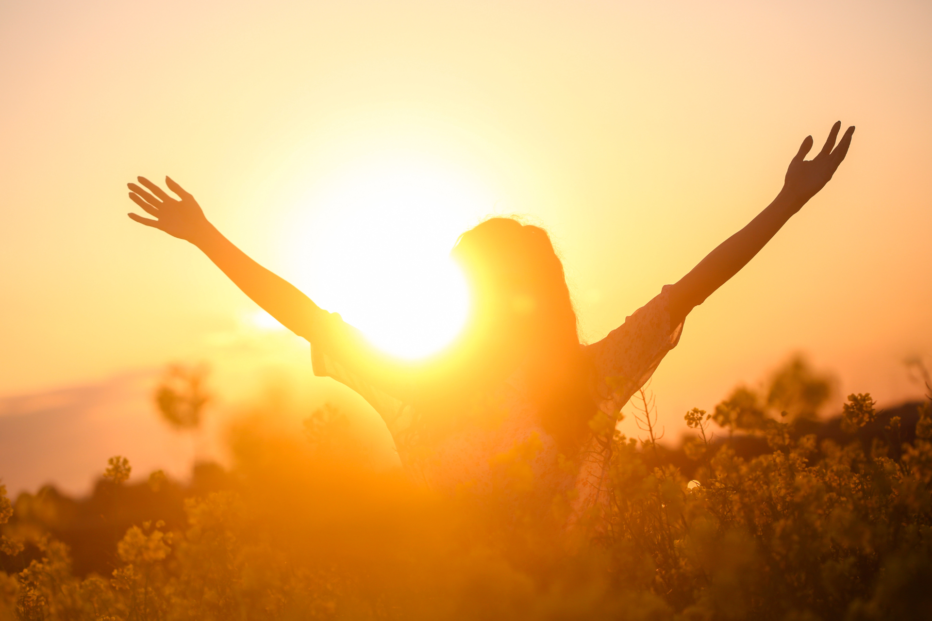 Woman with arms raised silhouetted against a bright sunset in a field of yellow flowers.