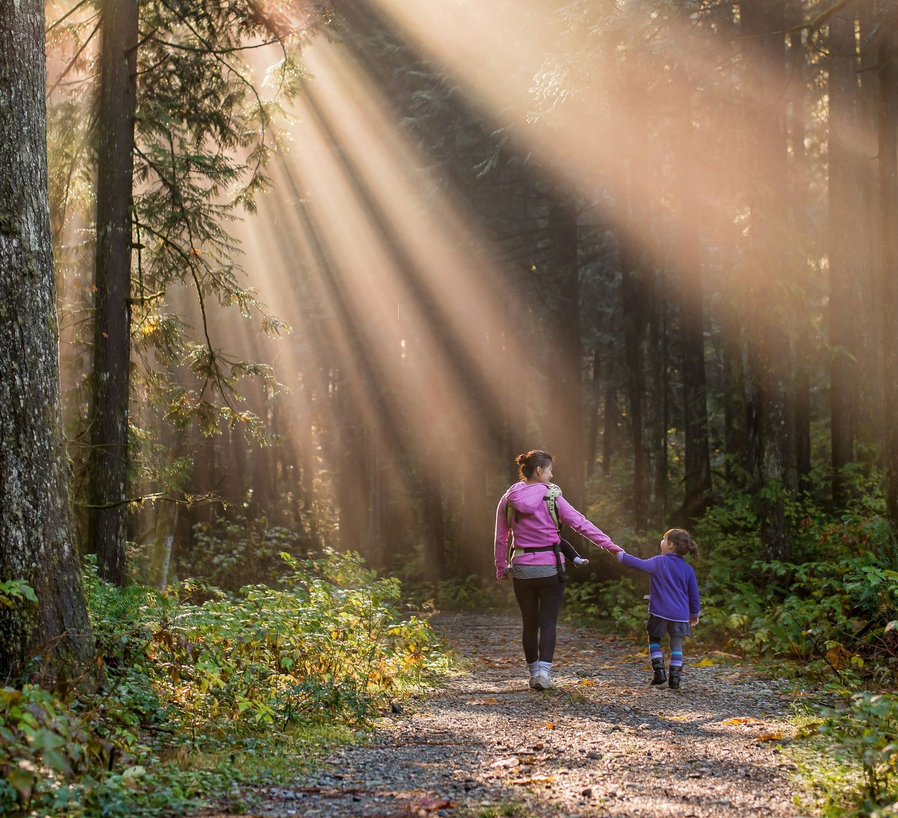 Mother and child walk down a forest path, hand in hand, towards bright sunlight.