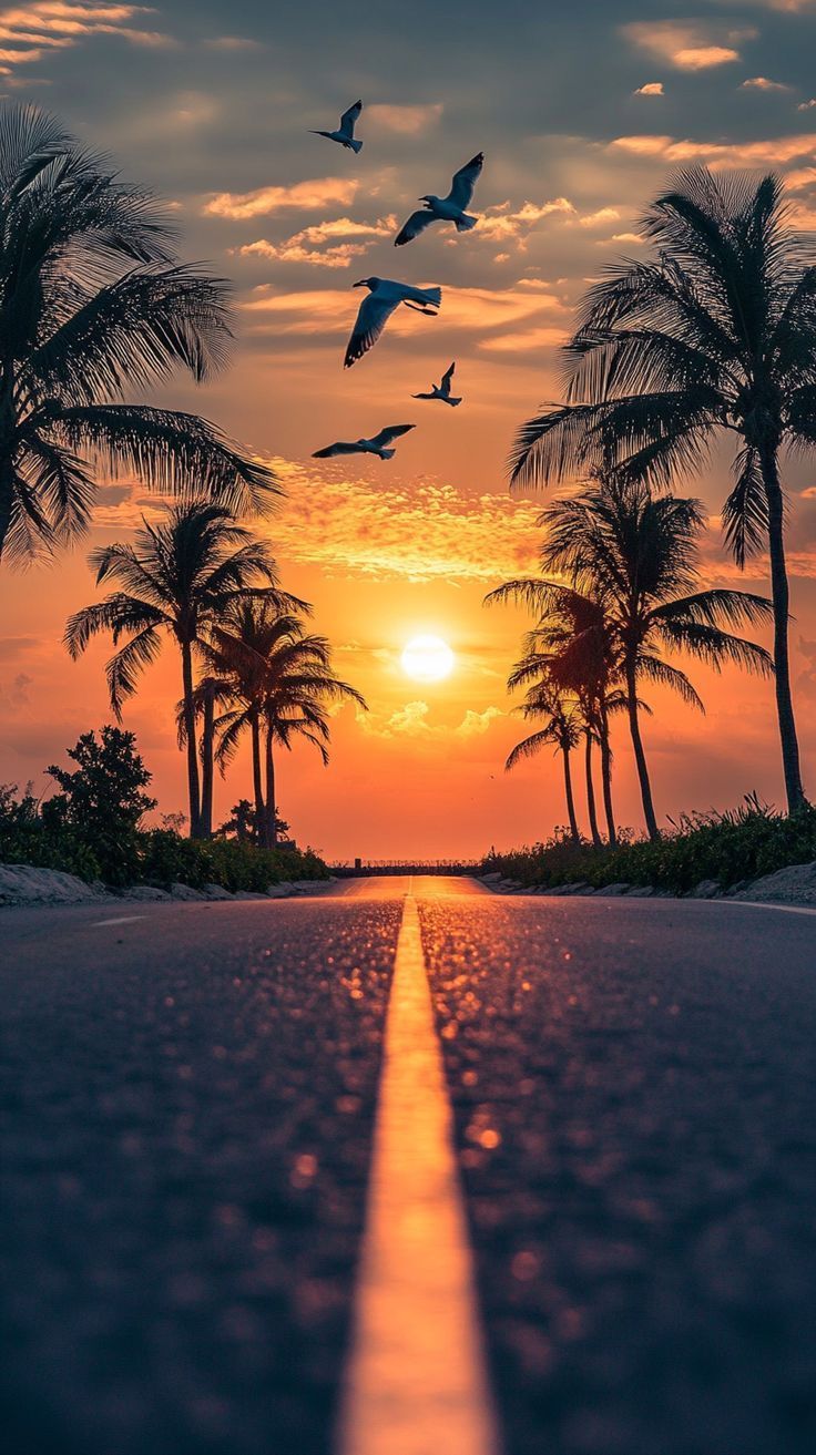 A sunset over a road with palm trees and birds flying in the sky.