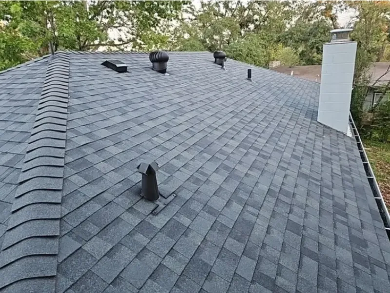 Dark gray shingle roof with vents and chimney against a tree-lined backdrop.