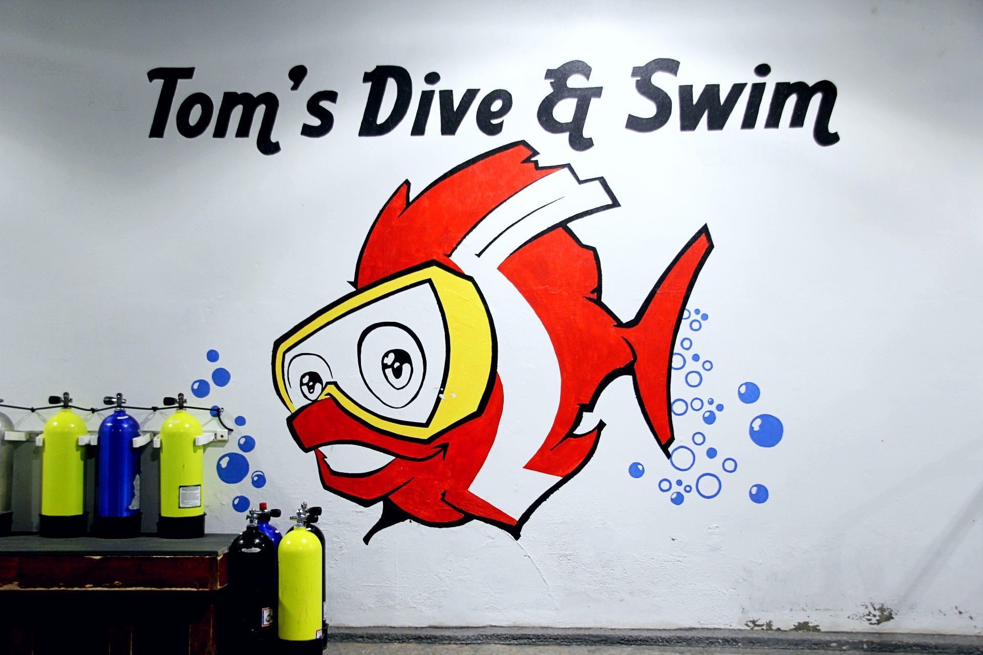 A sign for tom 's dive and swim with a cartoon fish on it