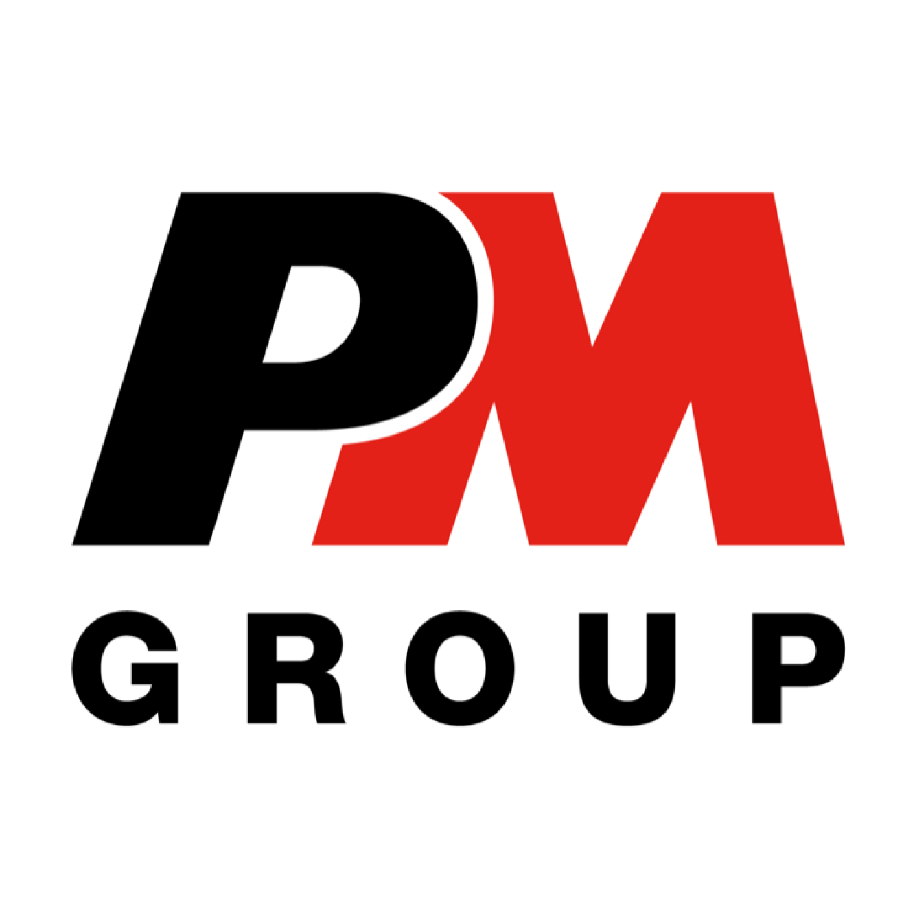 PM Group Logo