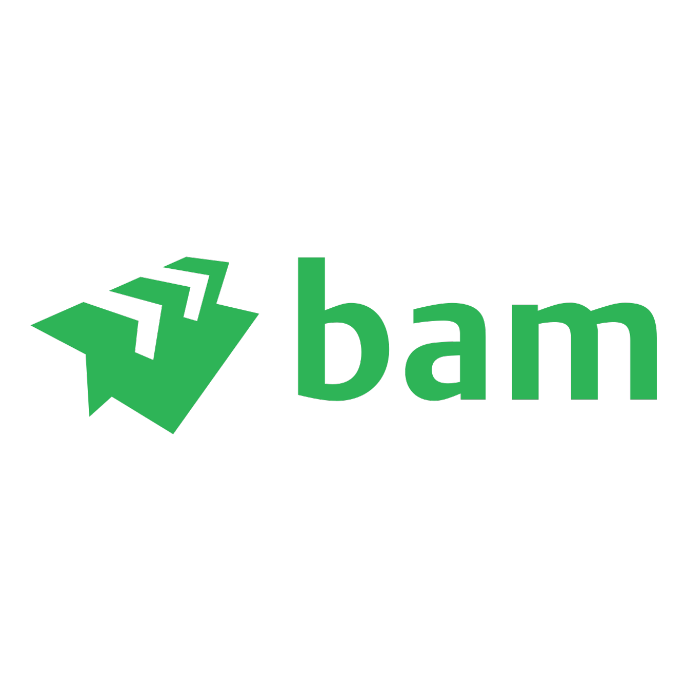 BAM Logo
