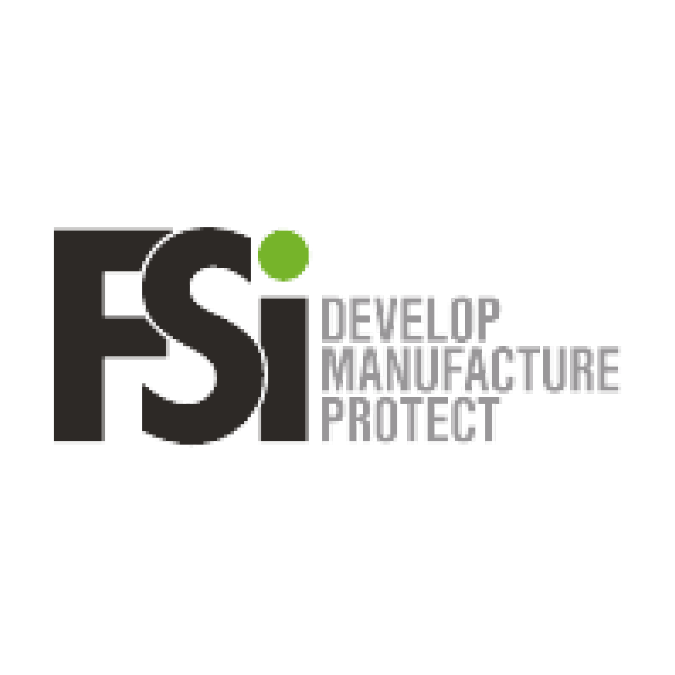 FSI logo