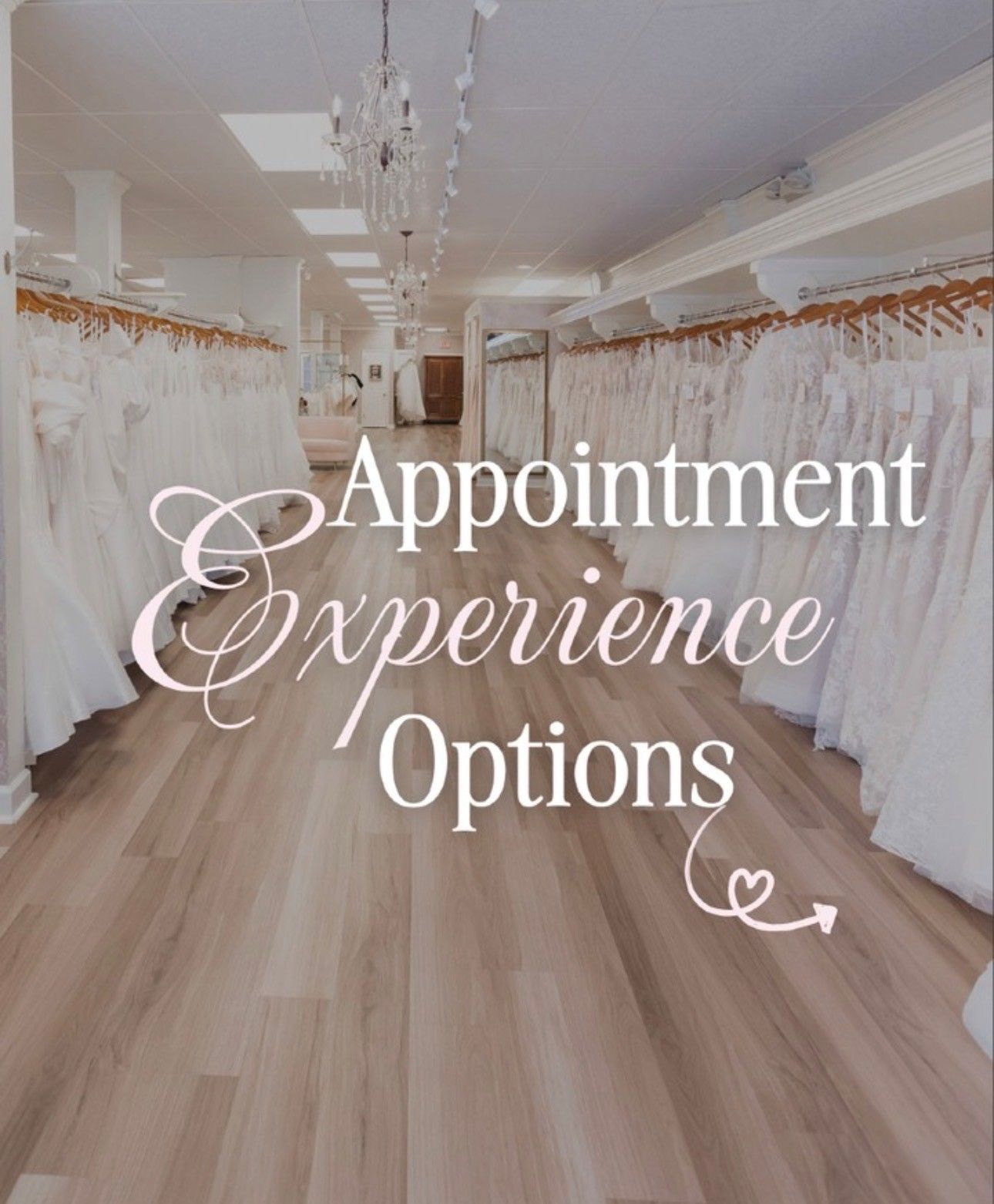 White bridal boutique aisle with hanging gowns and overlay text “Appointment Experience Options”