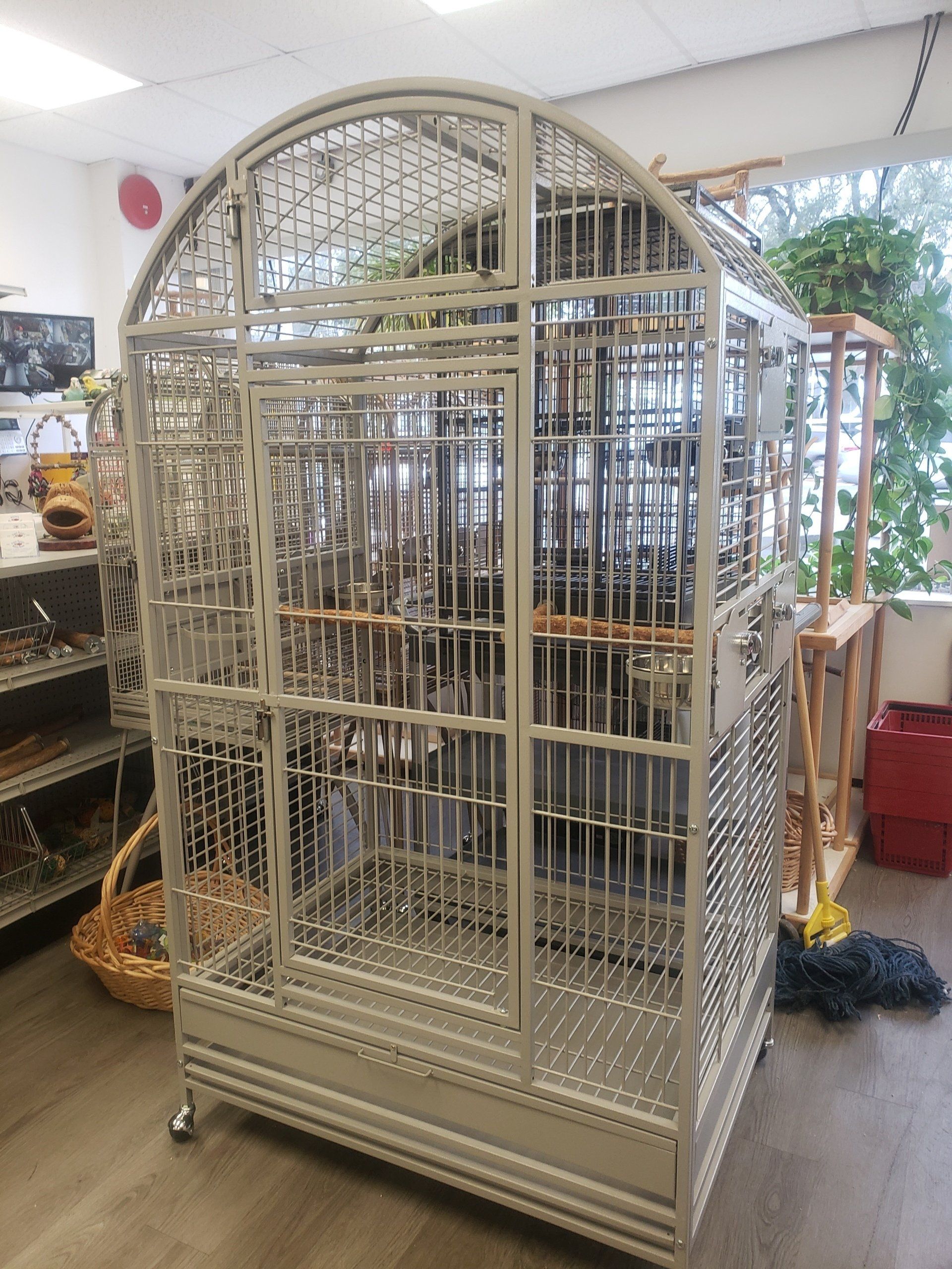 Large Quality Cage First Flight Exotic Birds