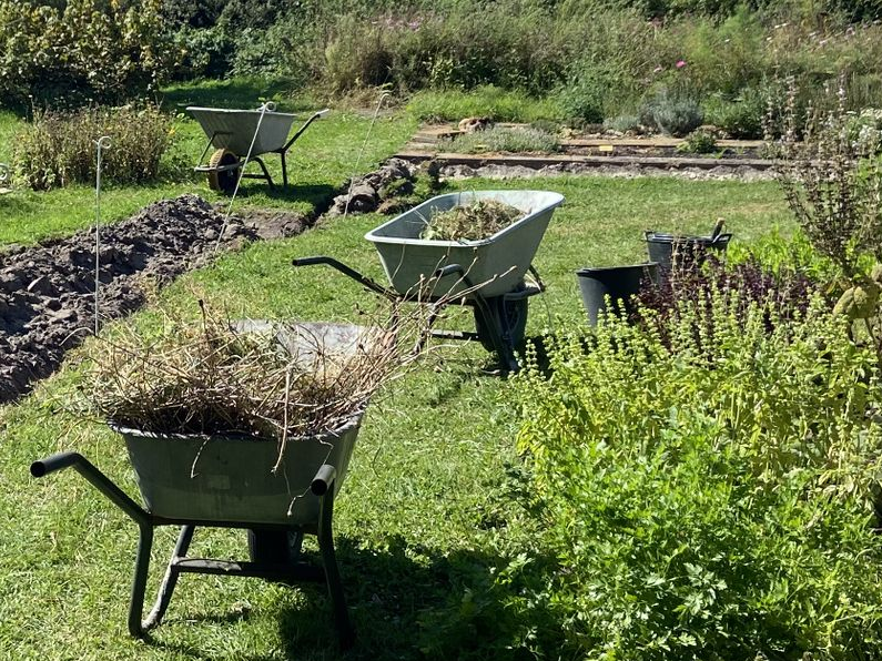 persoon plukt bloemen met mandje