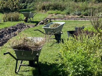 persoon plukt bloemen met mandje