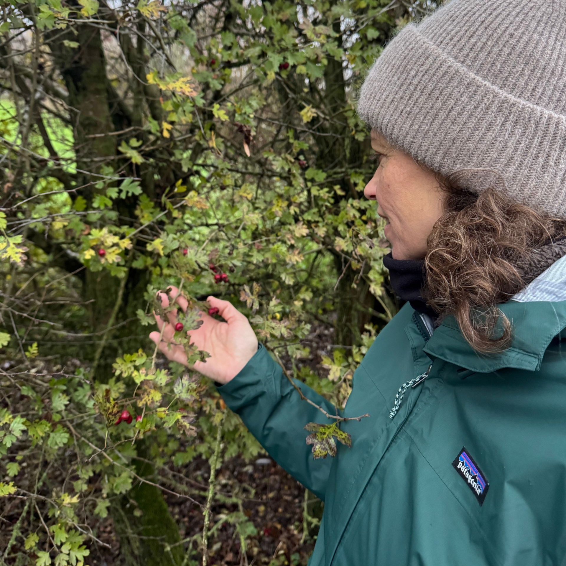 persoon bekijkt bessen aan struik tijdens herfstwandeling