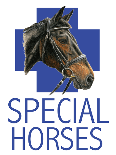 A buy Special Rescue Horse