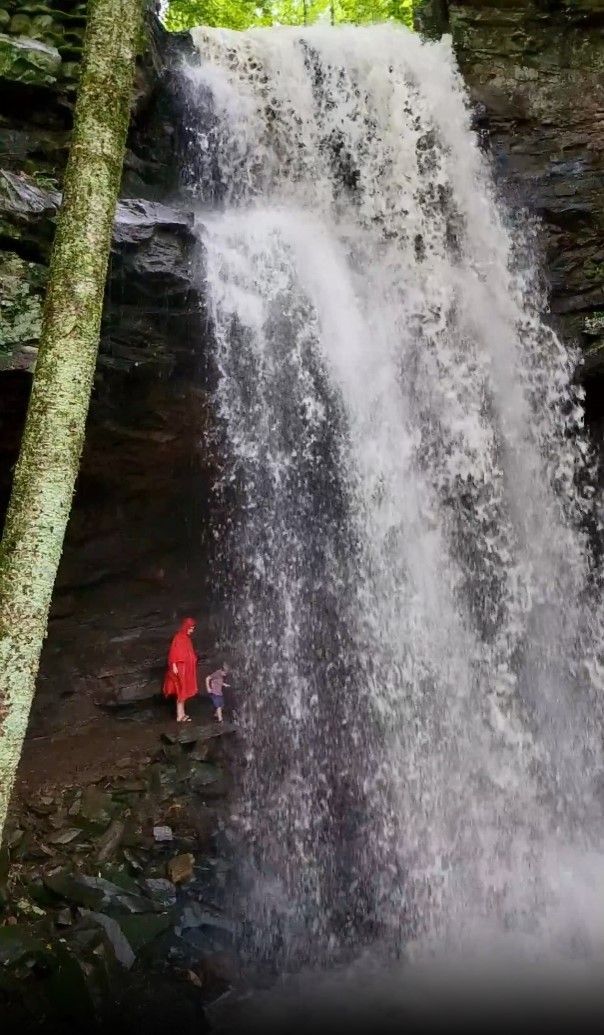 A person in a red jacket is standing in front of a waterfall.