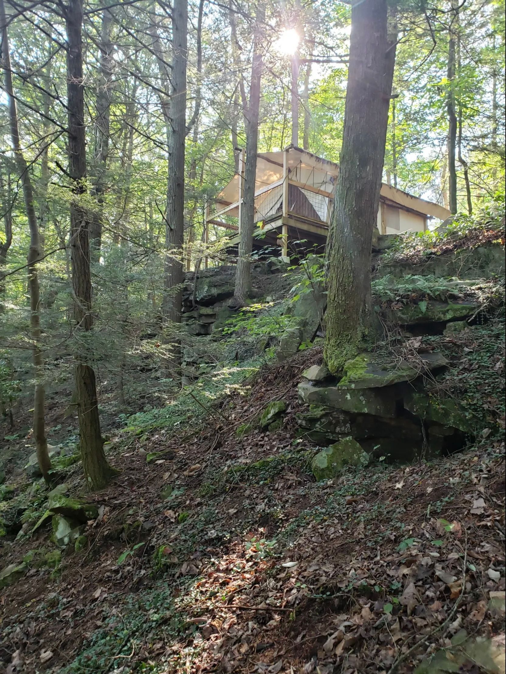 A house is sitting on top of a hill in the middle of a forest.