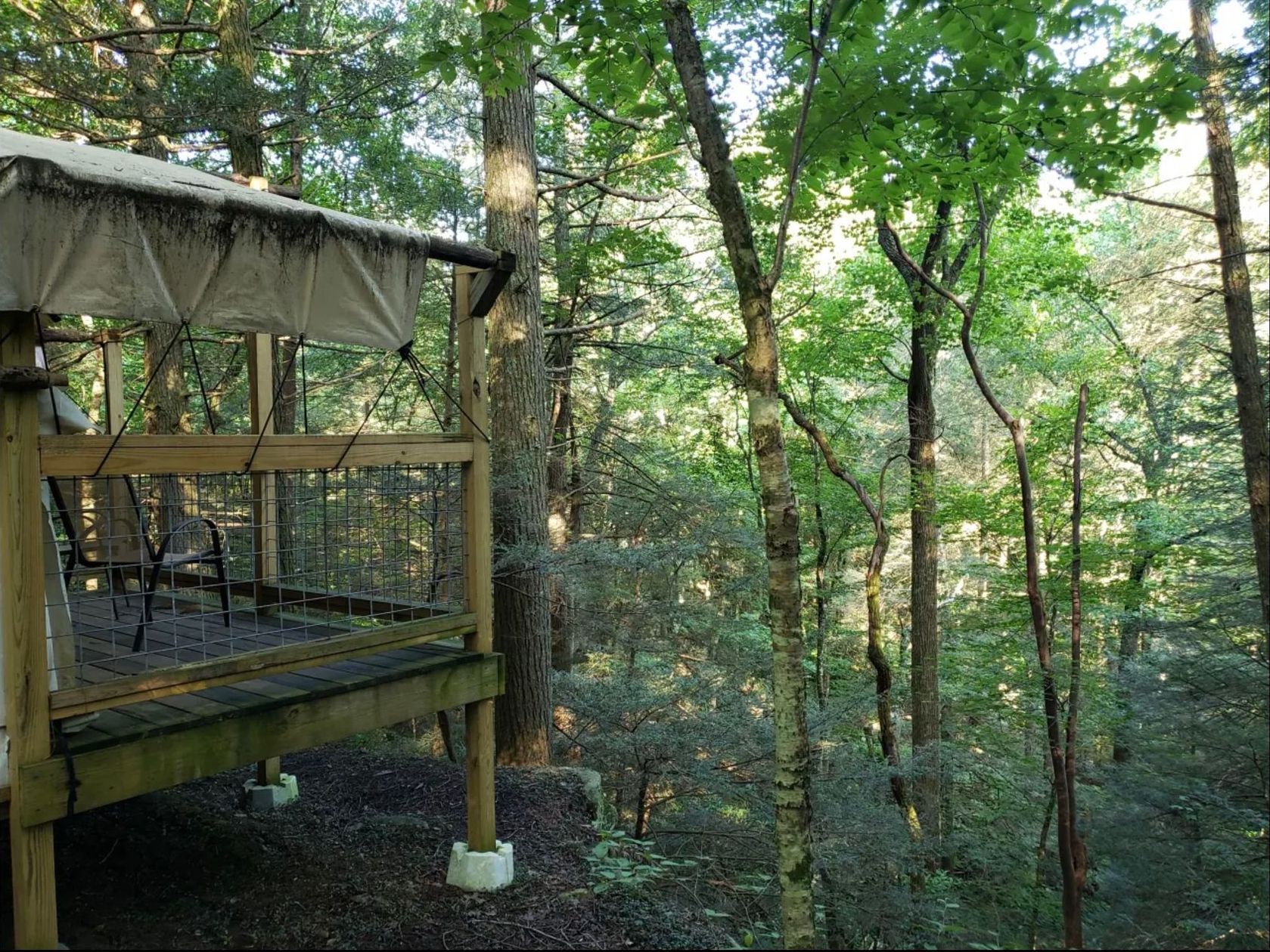 A wooden deck with a canopy in the middle of a forest.