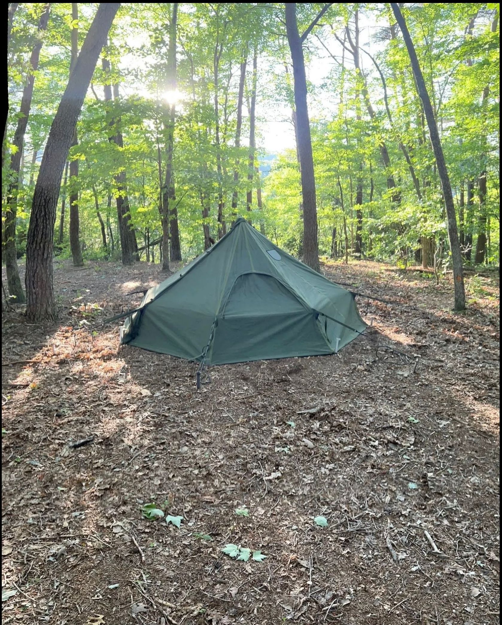 A green tent is sitting in the middle of a forest.