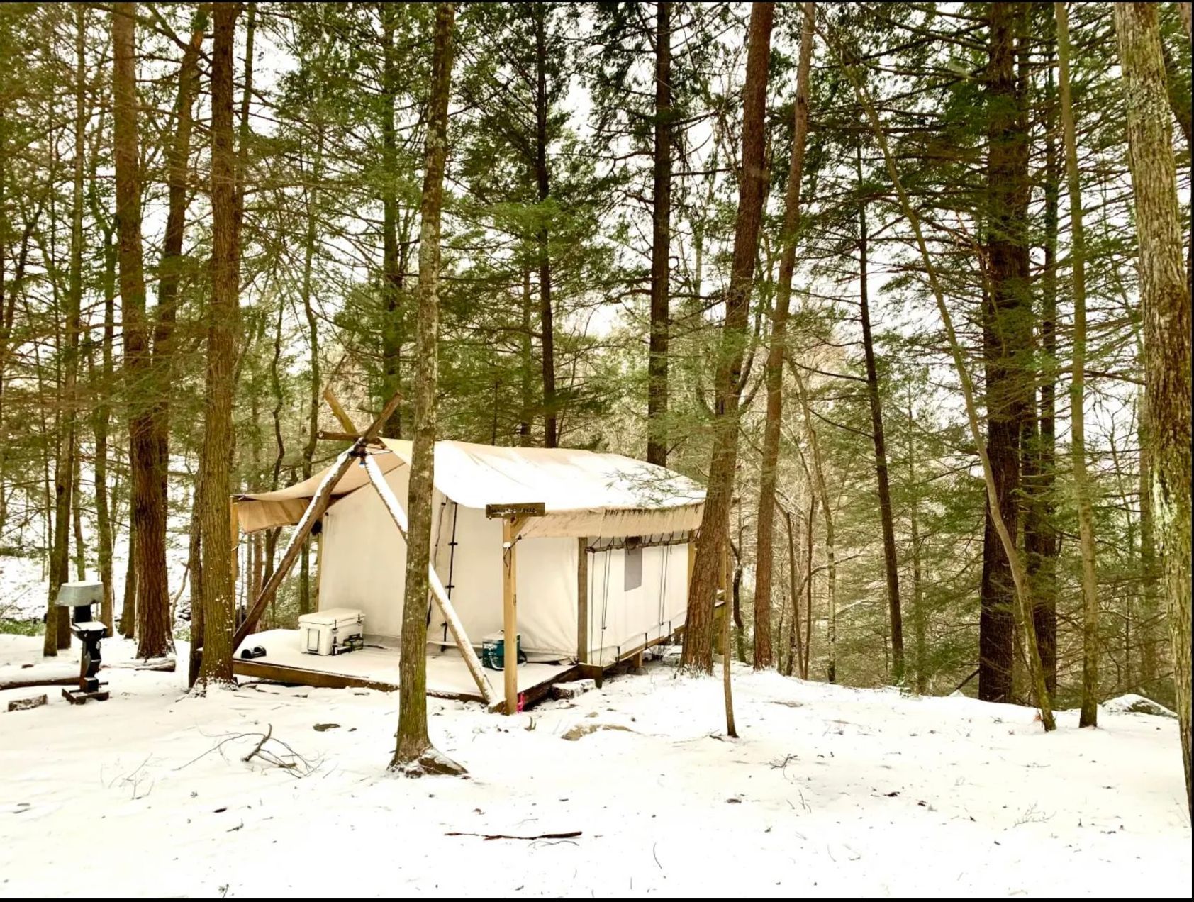A small white house in the middle of a snowy forest.